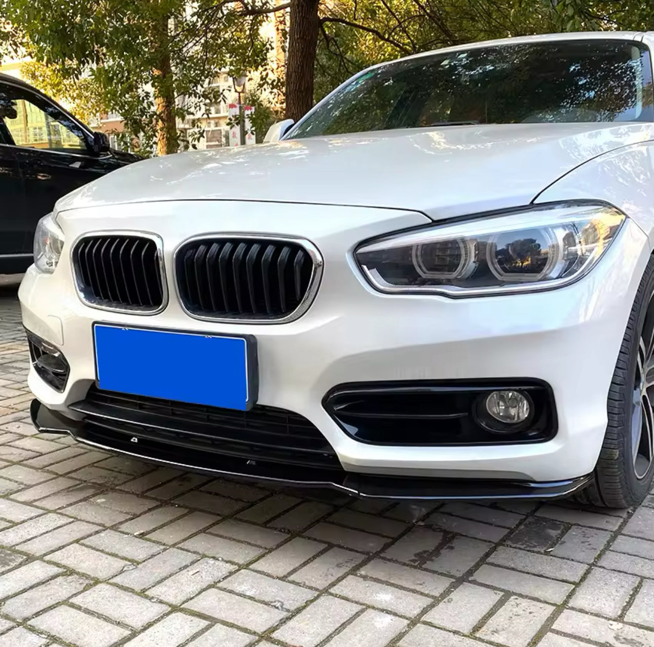 Lama Spoiler Paraurti Anteriore Per Bmw 1 F20 F21 Msport (11-19)